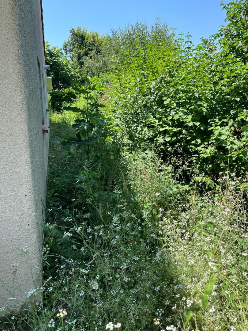 Passage envahi par la végétation, avant remise en état