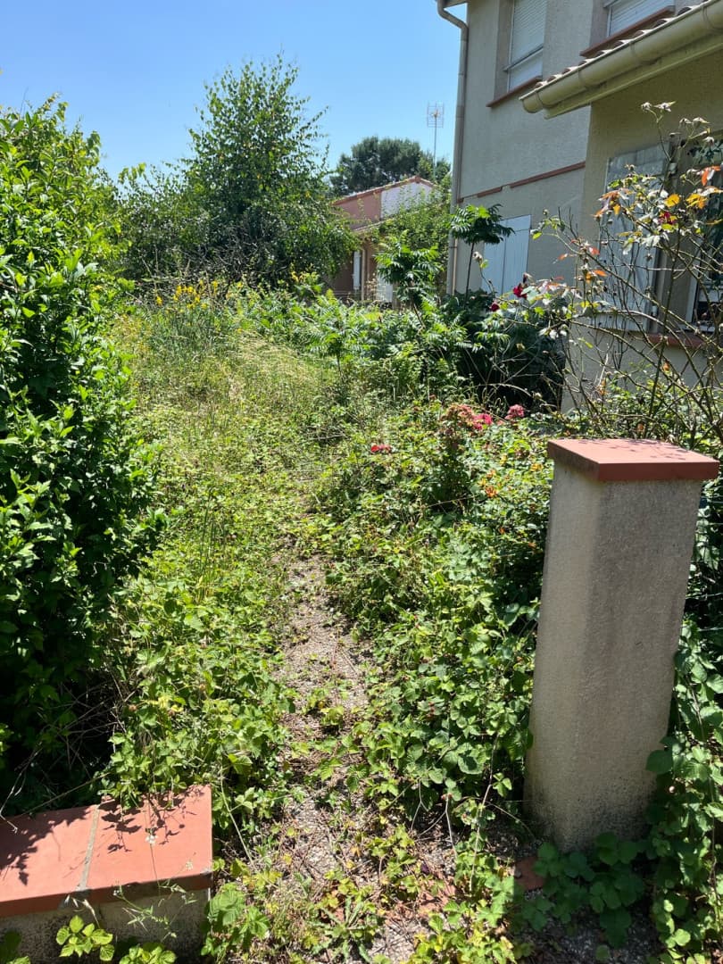 Jardin envahi par la végétation, avant remise en état